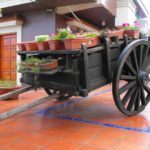 54437255_496505184087693_3603338709346287616_n